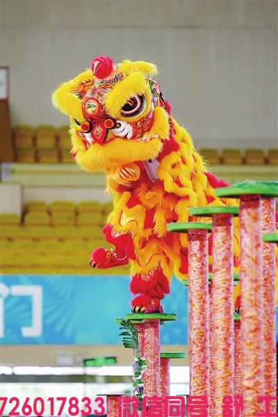 傅潇雯 毛昀哲/文 组委会供图:舞狮赛场架起“连心桥” 粤港澳联队同心筑梦想 